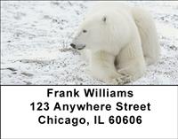Comfortable Polar Bears Address Labels