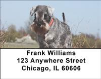 Serious Schnauzers Address Labels