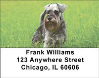 Serious Schnauzers Address Labels