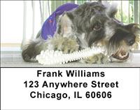 Schnauzers and Toys Address Labels