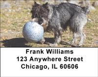 Schnauzers and Toys Address Labels