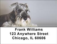 Peaceful Schnauzers Address Labels