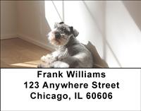 Peaceful Schnauzers Address Labels