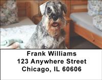 Peaceful Schnauzers Address Labels