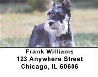 Lovable Schnauzers Address Labels