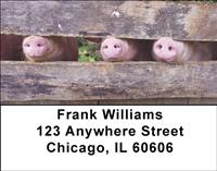 Pig Snouts Address Labels