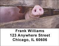 Pig Snouts Address Labels