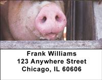 Pig Snouts Address Labels