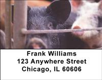 Pig Pens Address Labels