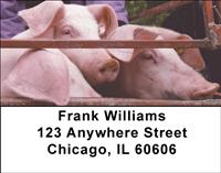 Pig Pens Address Labels