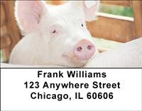Cute Piggies Address Labels