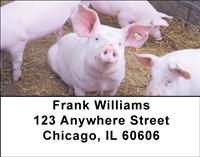 Cute Piggies Address Labels