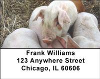 Cute Piggies Address Labels