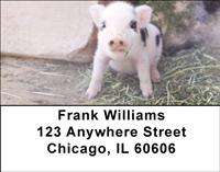 Spotted Piglets Address Labels