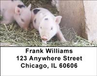 Spotted Piglets Address Labels