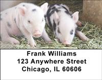 Spotted Piglets Address Labels