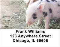 Spotted Piglets Address Labels