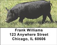Black Pigs Address Labels