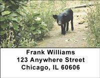 Black Pigs Address Labels