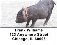 Black Pigs Address Labels