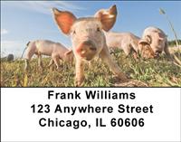 Pig Farm Address Labels