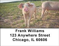 Pig Farm Address Labels