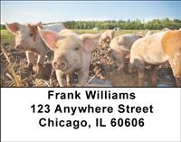 Pig Farm Address Labels