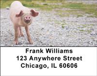 Pig Farm Address Labels