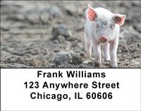 Muddy Pigs Address Labels