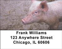 Muddy Pigs Address Labels