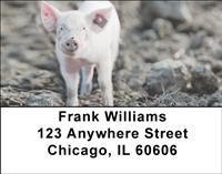 Muddy Pigs Address Labels