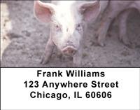 Muddy Pigs Address Labels