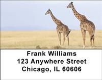 Safari II Address Labels