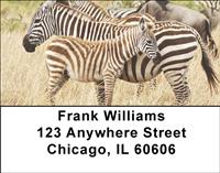Safari II Address Labels
