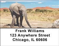 Safari II Address Labels