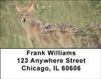 Safari III Address Labels