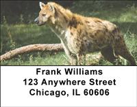 Safari III Address Labels