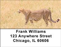 Safari IV Address Labels