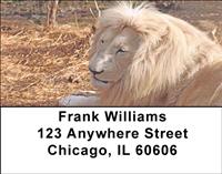 Safari IV Address Labels