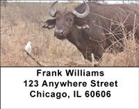 Safari IV Address Labels