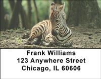Baby Safari Address Labels