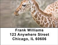 Baby Safari Address Labels