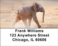 Baby Safari Address Labels