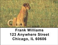 Baby Safari Address Labels