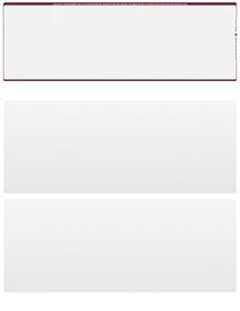 Wallstreet Blank Stock for Computer Voucher Checks Top Style