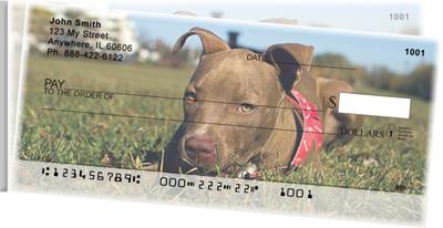 Pitbull Puppies Side Tear