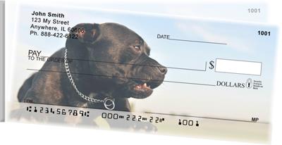 Pitbull Puppies Side Tear