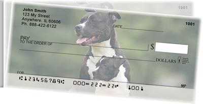 Pit Bulls Side Tear