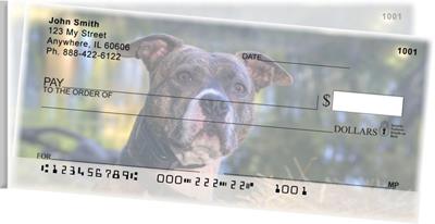 Pit Bulls Side Tear