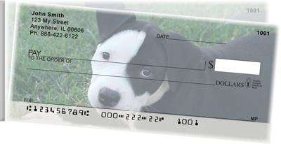 Pit Bulls Side Tear